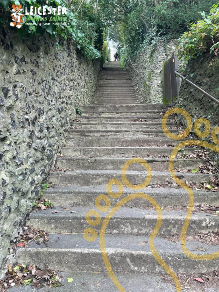 Outdoor stairs